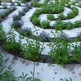 Kräuterlabyrinth - Neumarkt, Südtirol - 2015