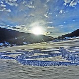 Schnee-Art - Lebensblume - Pichl Gsies 2013