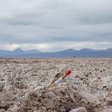 Salar de Atacama - Chile -  November  2015 - Manfred