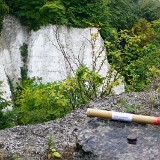 Königsstuhl - Kreidefelsen - Rügen -  August  2015 - Eduard