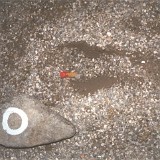 Schloß Bruneck - 2000