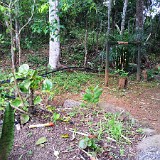 Bahia, Brasilien - Kraftplatz Erdtempel - September  2014 - Paula  User comments