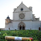 Assisi - 2017 - Norbert