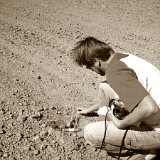 Kalifornien - 2006 - Roland