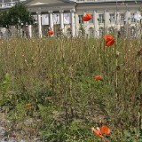 Documenta - Kassel - 2007