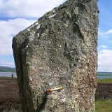 Orkney - 2012 - Antonia