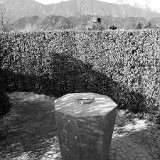 Irrgarten Svarofsky - Wattens - 2011