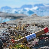 Tasiilaq, Ammassalik, Grönland, KN - Rudy - 2018