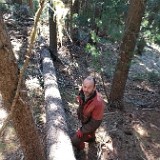 Baum - Hochw. Johann Oberhammer - 2021