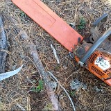 Baum - Hochw. Johann Oberhammer - 2021