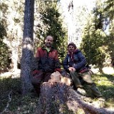 Baum - Hochw. Johann Oberhammer - 2021