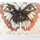 Radierung -  Schmetterling  2013 - Auflage: 30
