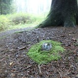 "Auge" - Land Art Installation - Kühbergl - Bruneck, 15