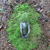 "Auge" - Land Art Installation - Kühbergl - Bruneck, 15