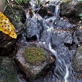 "manna" - seiwald - 21